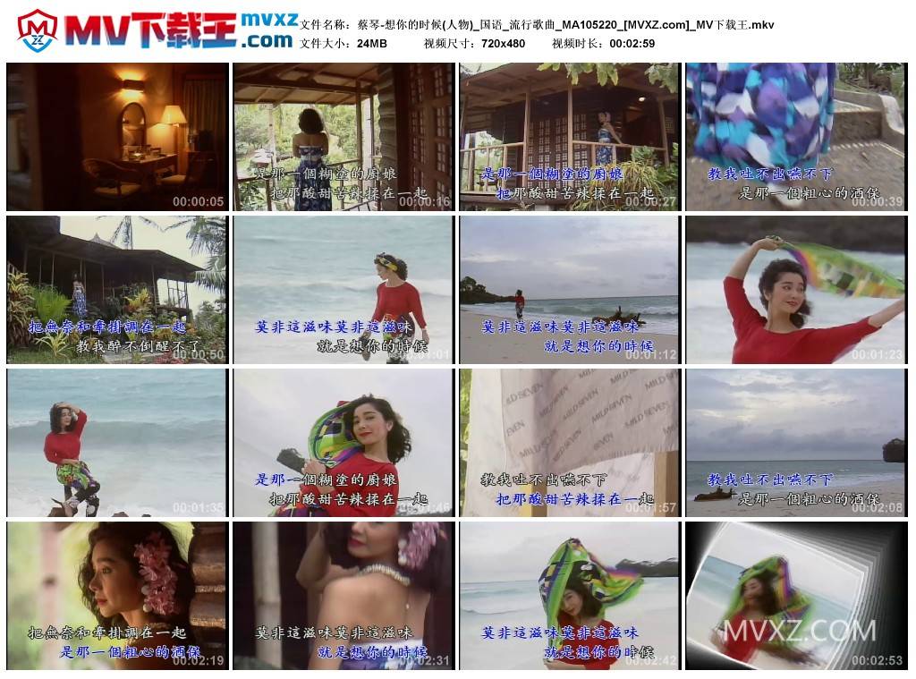 蔡琴-想你的时候(人物)_国语_流行歌曲_MA105220